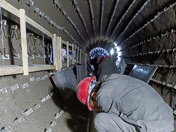 ������D�Gʩ���F��